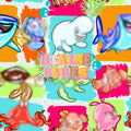 Friendly Fins